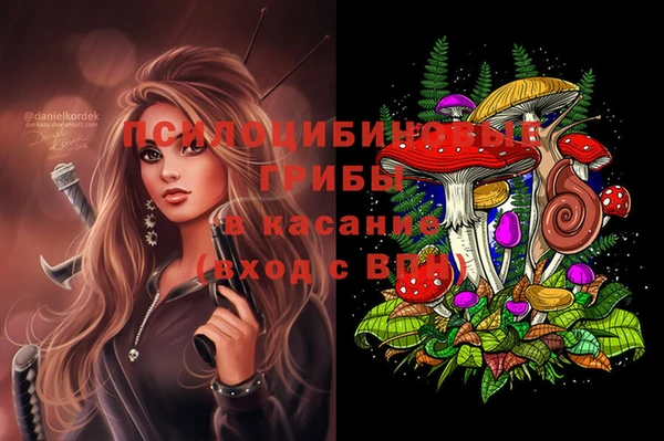 ECSTASY Верхний Тагил